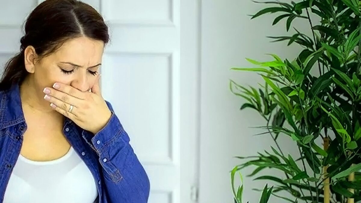 Hindari Pemicu Bau Tidak Sedap