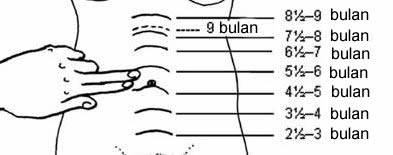 cara menghitung usia kehamilan