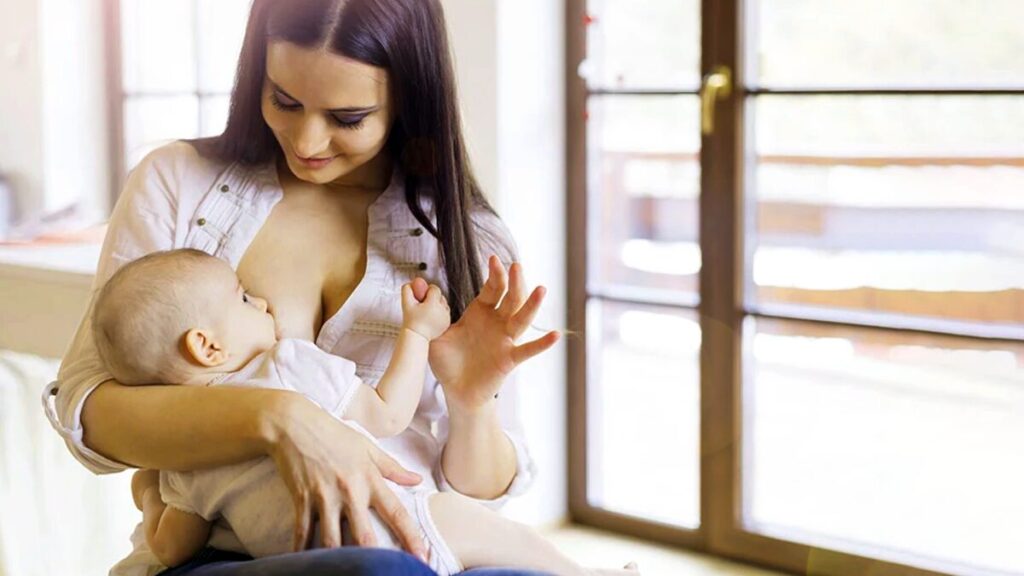 pola makan seimbang untuk ibu menyusui