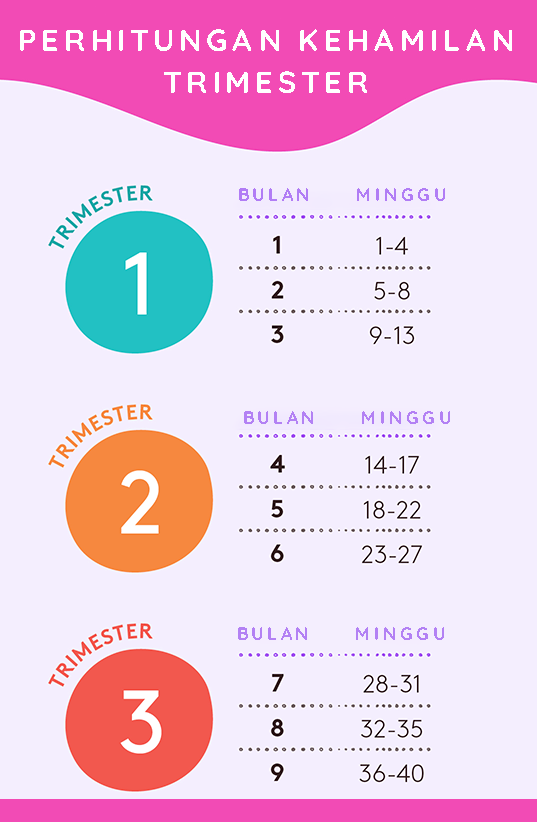 tabel perhitungan trimester kehamilan
