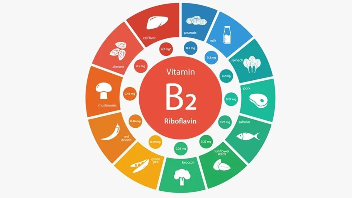 vitamin B2 penting di masa kehamilan